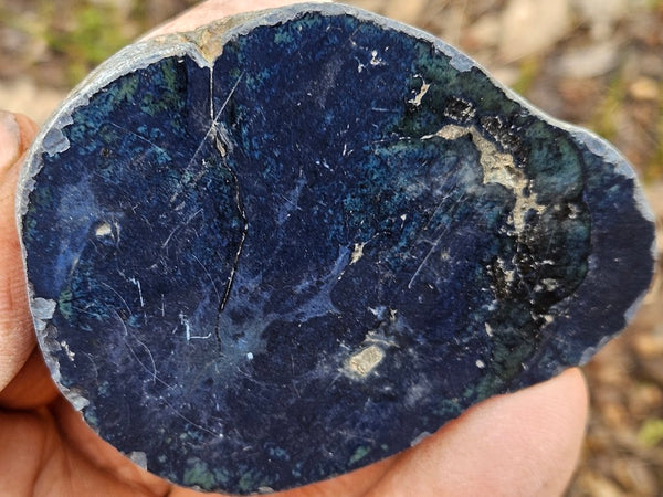 Polished Vivianite nodule half VV114