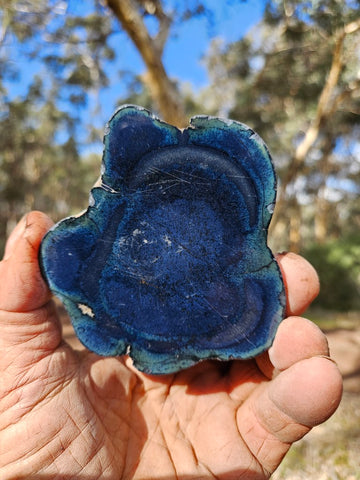 Polished Vivianite nodule half VV113