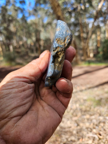 Polished Vivianite nodule half VV113
