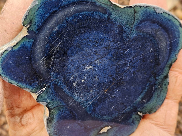 Polished Vivianite nodule half VV113