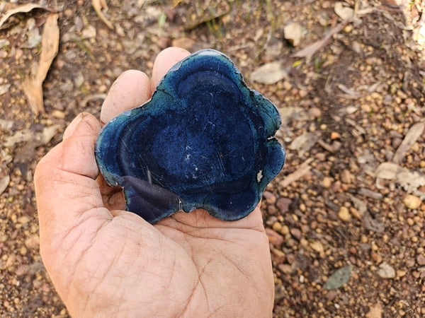 Polished Vivianite nodule half VV113