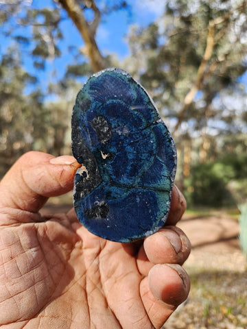 Polished Vivianite nodule half VV112