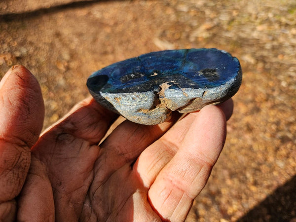 Polished Vivianite nodule half VV112