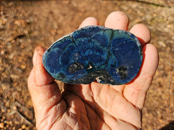 Polished Vivianite nodule half VV112