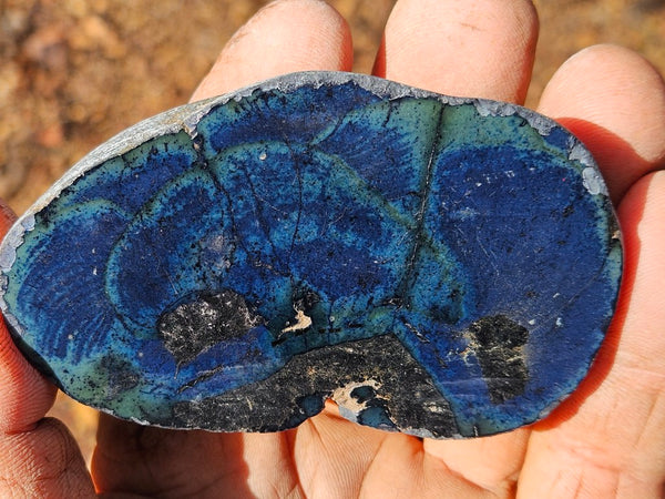 Polished Vivianite nodule half VV112