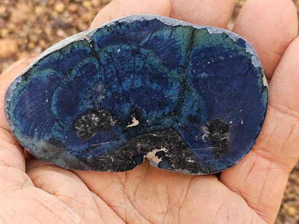 Polished Vivianite nodule half VV112