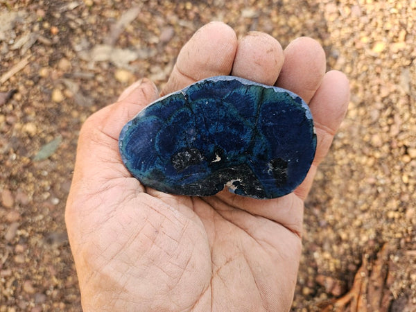 Polished Vivianite nodule half VV112