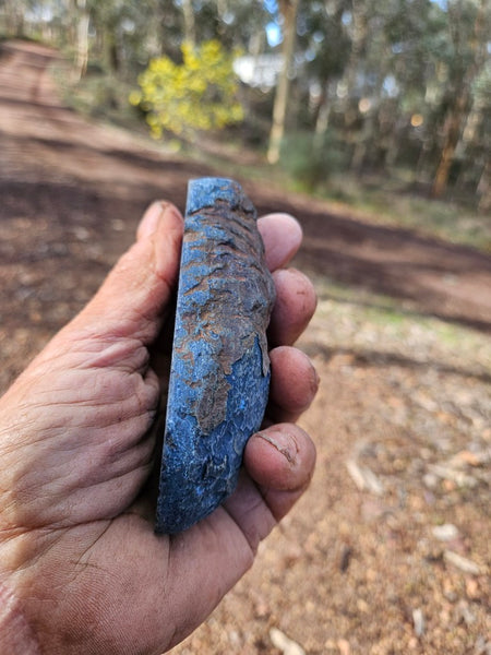 Polished Vivianite nodule half VV111