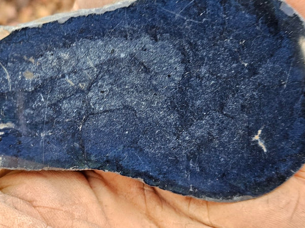 Polished Vivianite nodule half VV111