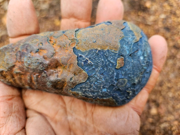 Polished Vivianite nodule half VV111