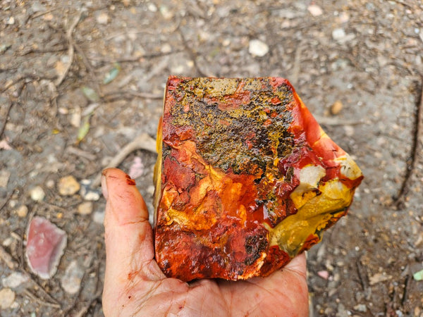 Mookaite rough.  MKR 280