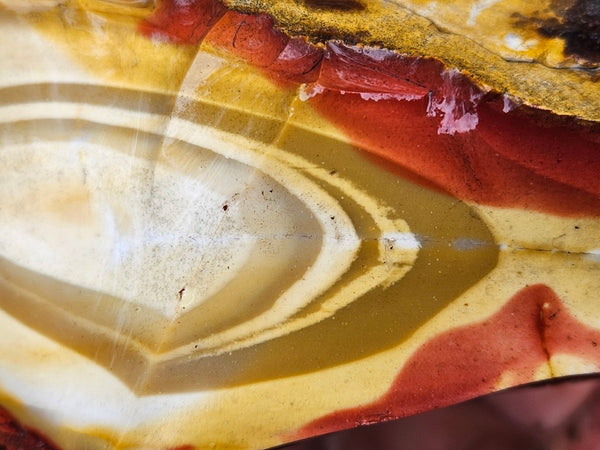 Mookaite rough.  MKR 280