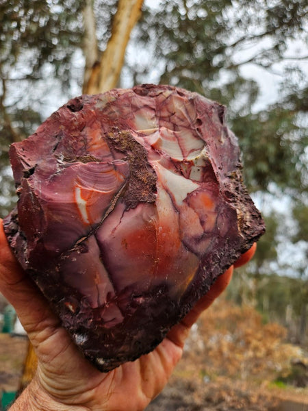 Mookaite rough.  MKR 281