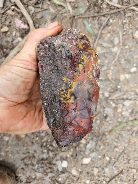 Mookaite rough.  MKR 281