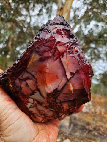Mookaite rough.  MKR 281