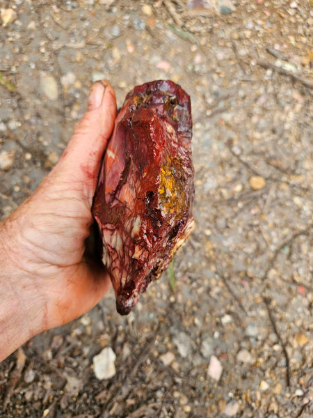 Mookaite rough.  MKR 281