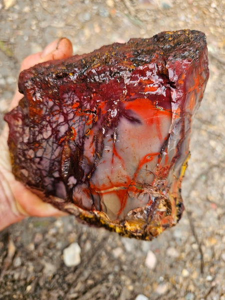 Mookaite rough.  MKR 281