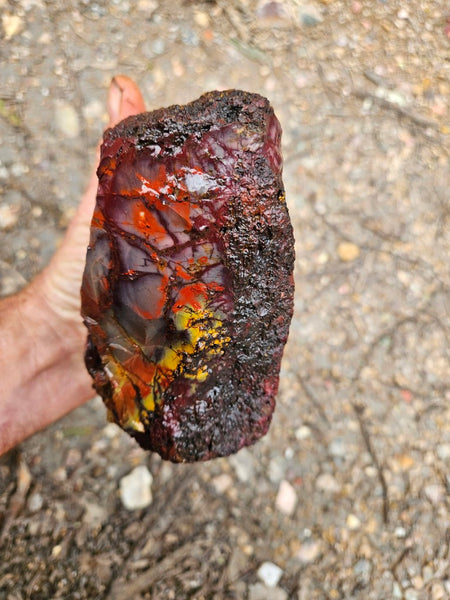 Mookaite rough.  MKR 281
