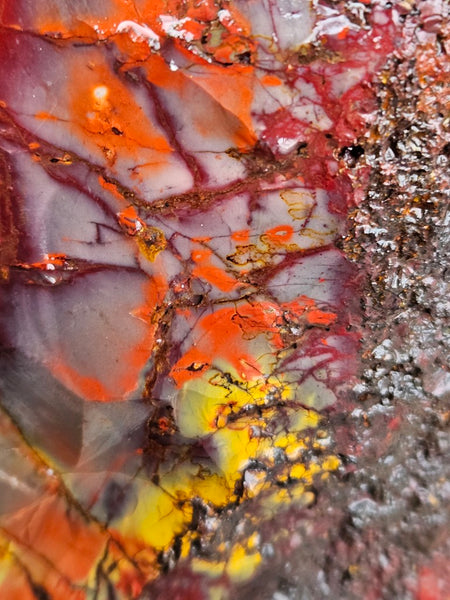 Mookaite rough.  MKR 281