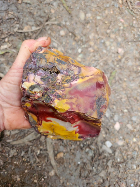 Mookaite rough.  MKR 282