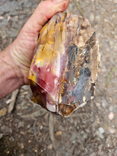 Mookaite rough.  MKR 282