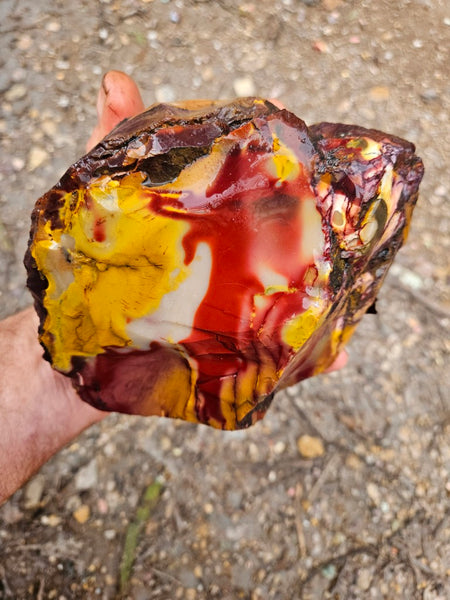 Mookaite rough.  MKR 282