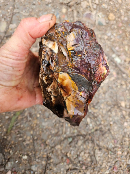 Mookaite rough.  MKR 282