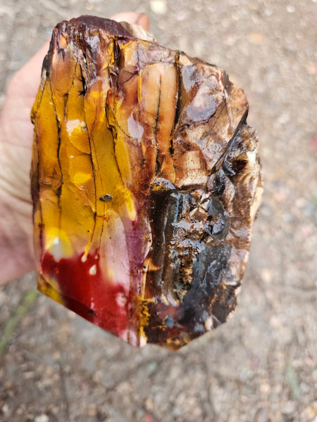 Mookaite rough.  MKR 282