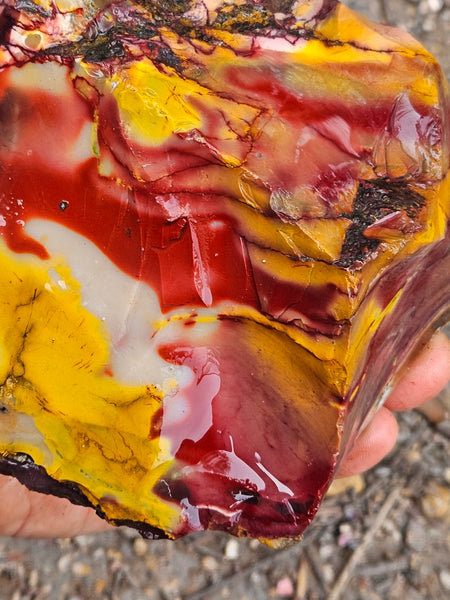 Mookaite rough.  MKR 282