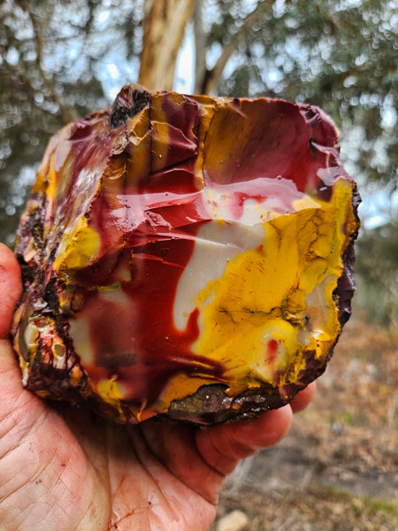Mookaite rough.  MKR 282