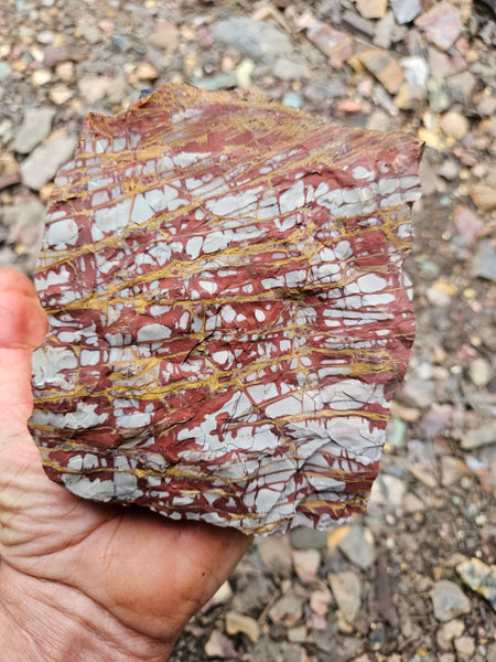 Noreena Jasper rough NJR188
