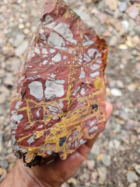 Noreena Jasper rough NJR188