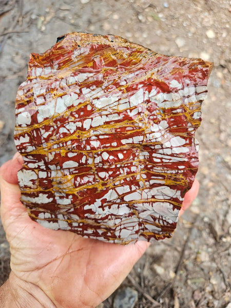 Noreena Jasper rough NJR188