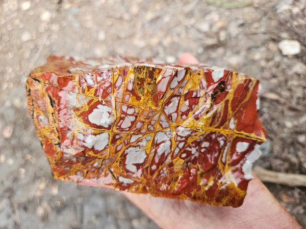Noreena Jasper rough NJR188