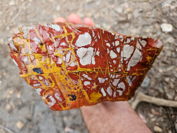Noreena Jasper rough NJR188