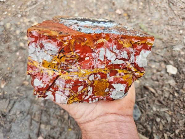 Noreena Jasper rough NJR188
