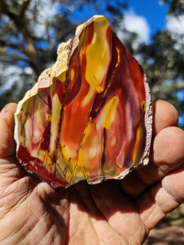 Polished  Mookaite slab MK545
