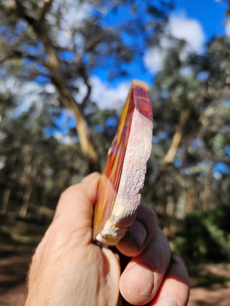 Polished  Mookaite slab MK545