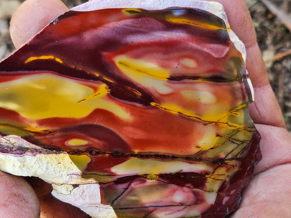Polished  Mookaite slab MK545