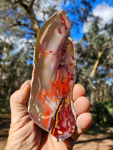 Polished  Mookaite slab MK546