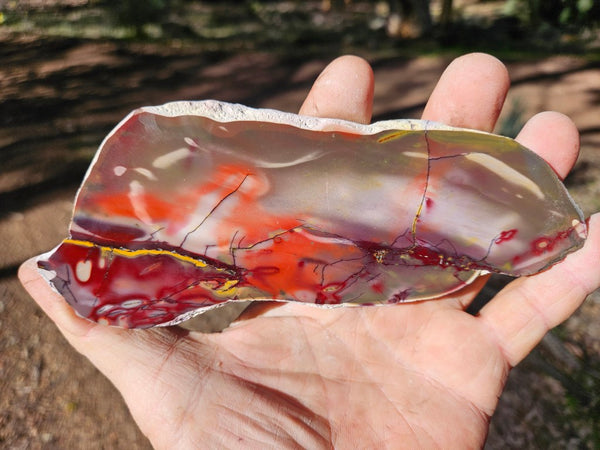 Polished  Mookaite slab MK546