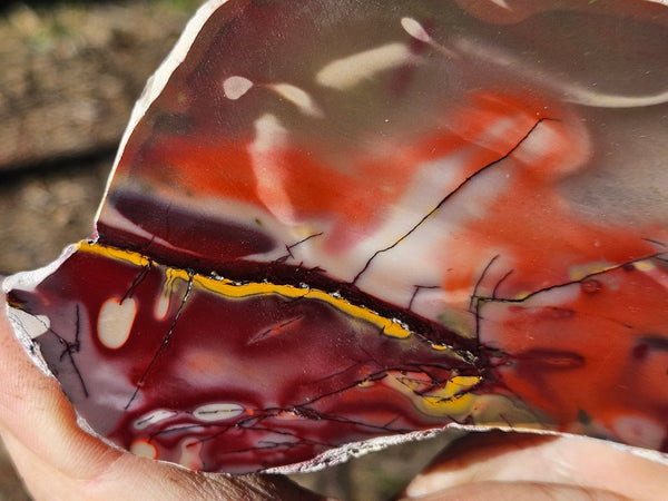 Polished  Mookaite slab MK546