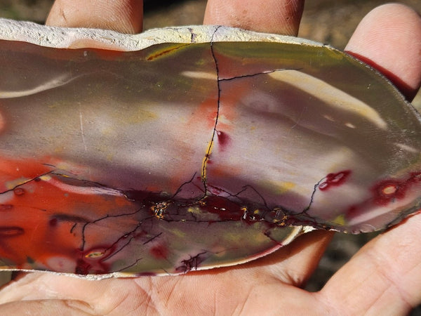 Polished  Mookaite slab MK546