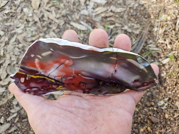 Polished  Mookaite slab MK546