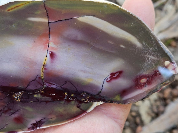 Polished  Mookaite slab MK546