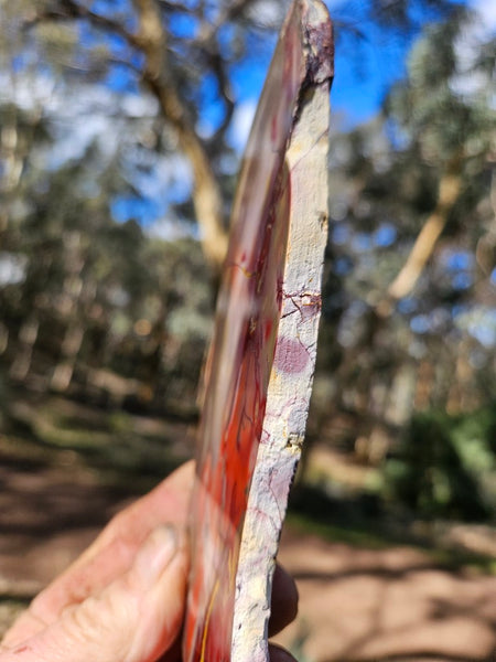 Polished  Mookaite slab MK546