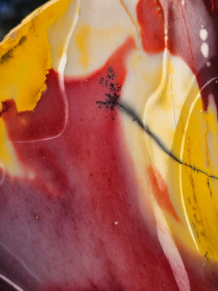 Polished  Mookaite slab MK547