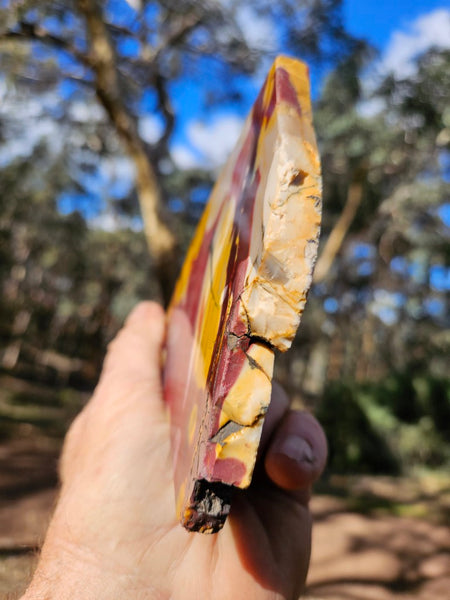Polished  Mookaite slab MK547