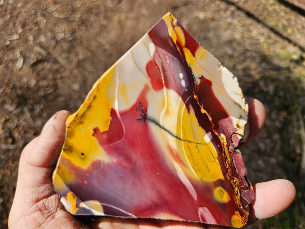 Polished  Mookaite slab MK547