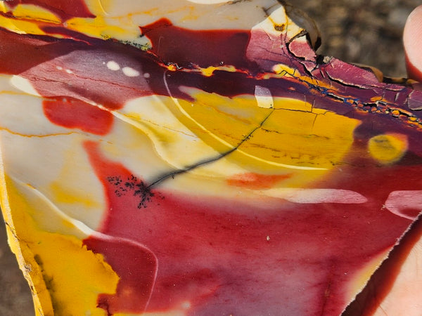Polished  Mookaite slab MK547